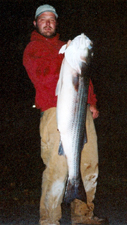 Bass