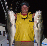 Moo Moo with a Bass