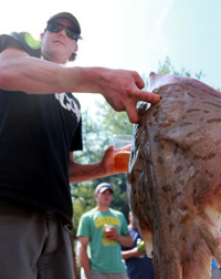 Beer Fluke