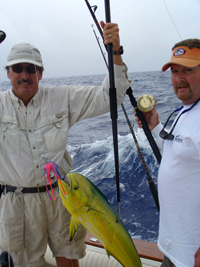Furter Mahi
