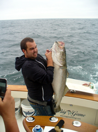 Heavy Fish