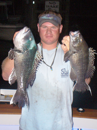 Seabass