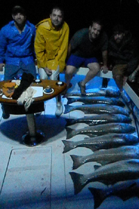 Nine Big Bass