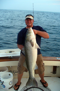 Bass