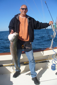 A whopping bass