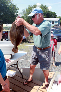 Big Fluke