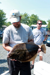 Large Fluke