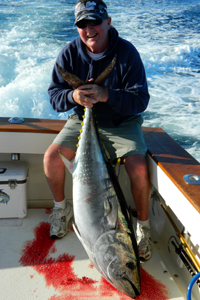 Tuna
