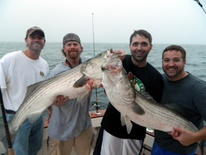 Bass Boys