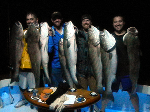 Bass Boys At Night