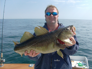 Cod