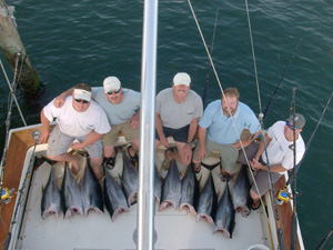 Boat load of tuna
