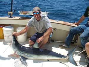 Bluefin