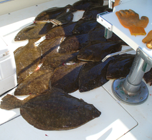 Pile of Flukes