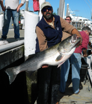 Big Bass