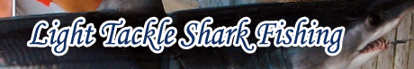 Light Tackle Shark Fishing