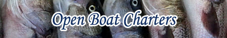 Open Boat Charters
