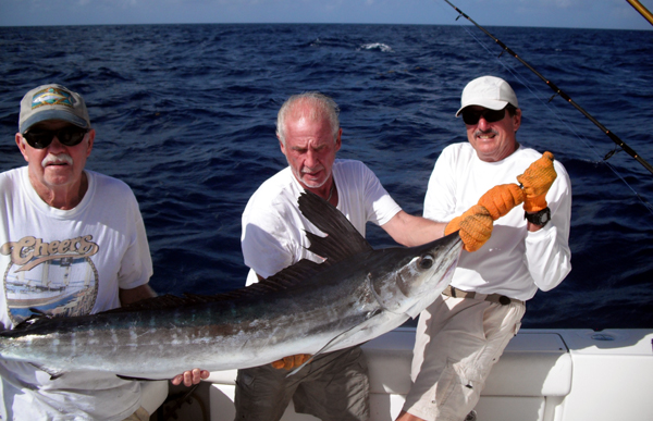 Marlin