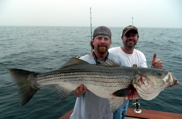 Giant Bass