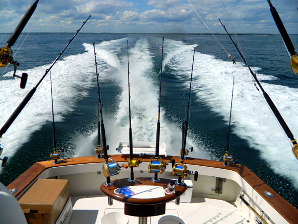 Stern Shot
