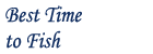Best Time to Fish