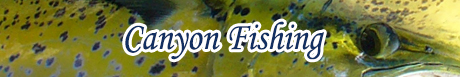 Canyon Fishing Canyon Fishing