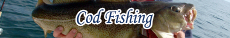 Cod Fishing Cod Fishing