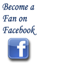 Become a fan on Facebook