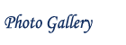 Photo Gallery