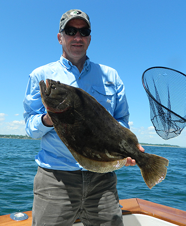 Sunny Fluke Sunny Fluke