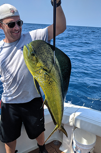 Mahi