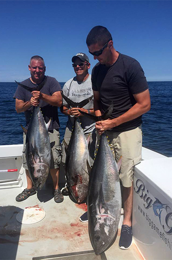 3 Tuna