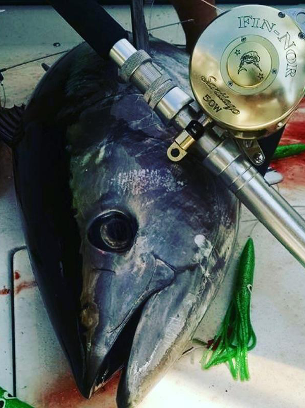 Tuna and Reel