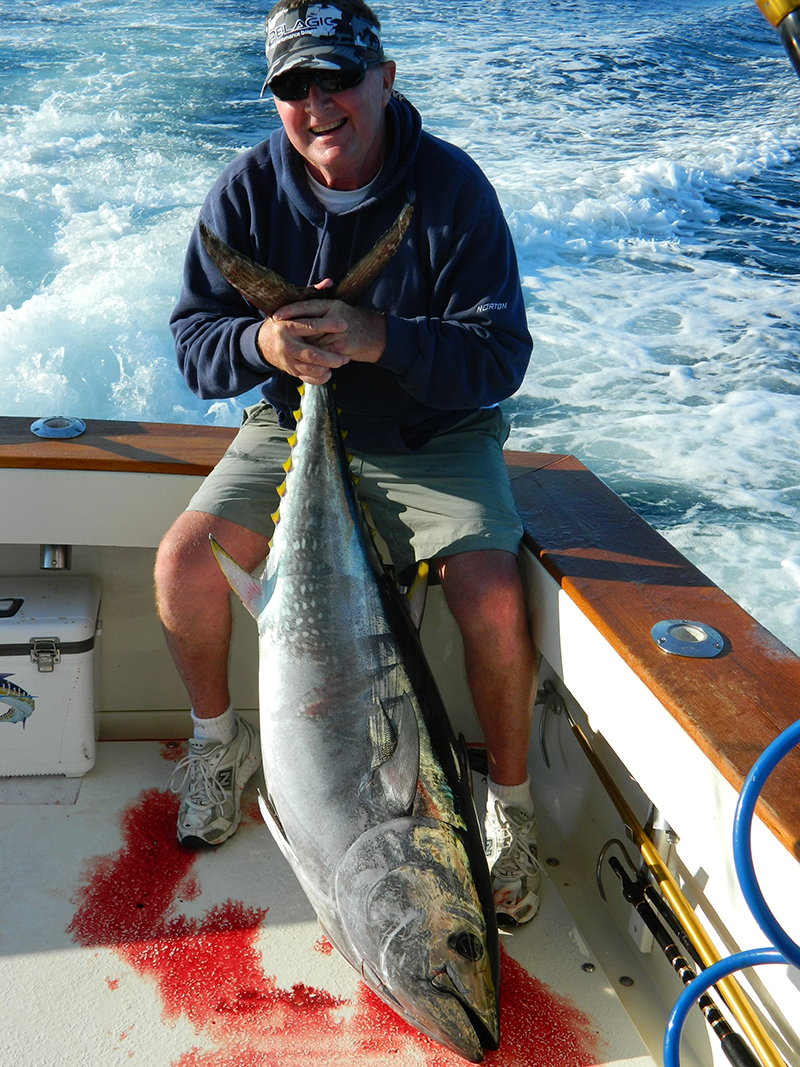 Nice Yellowfin