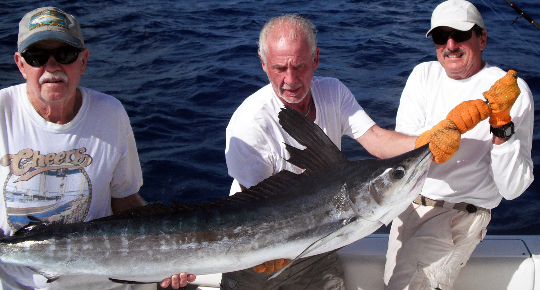 Frank's Marlin