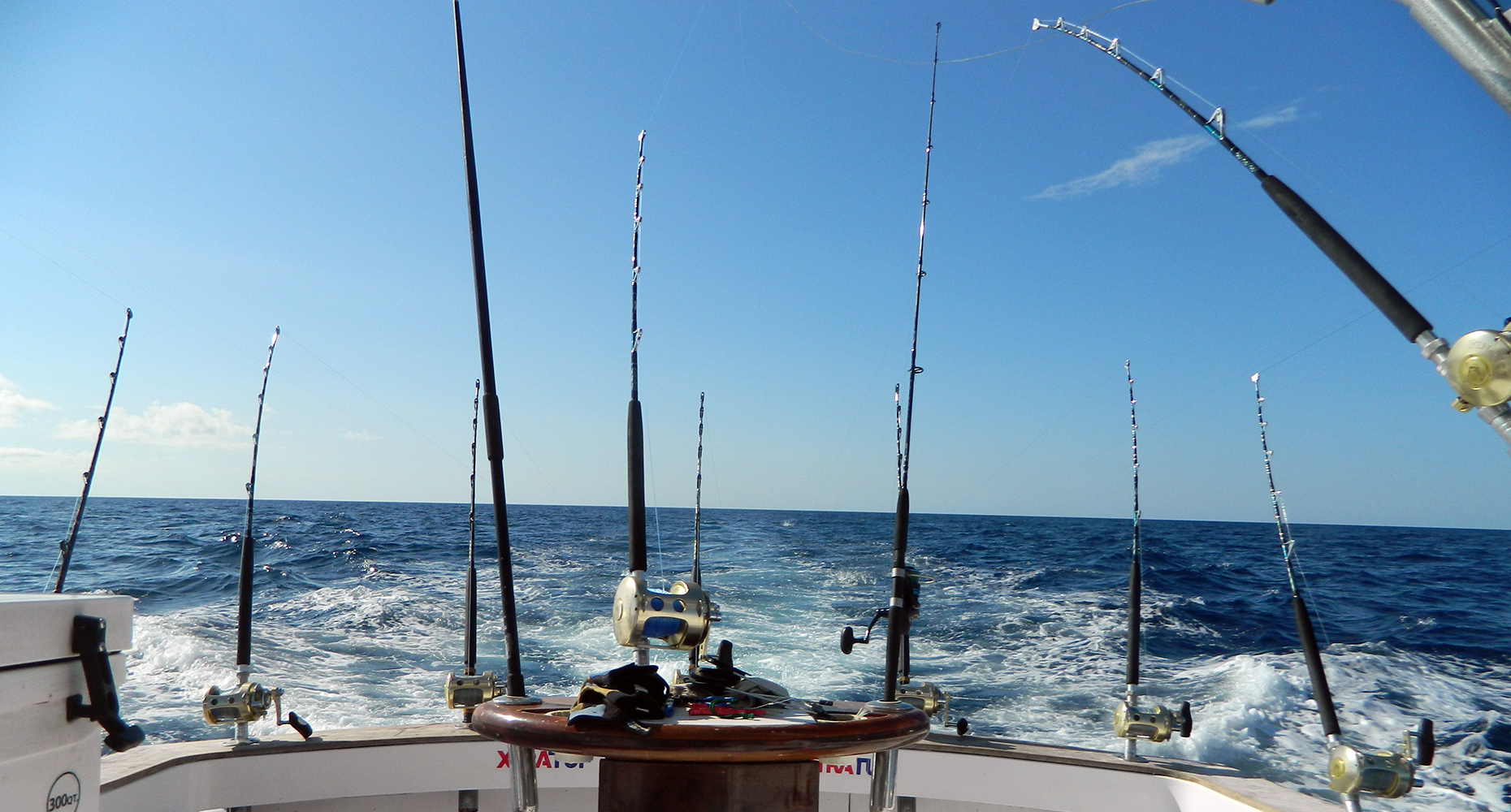 Poles in the Stern