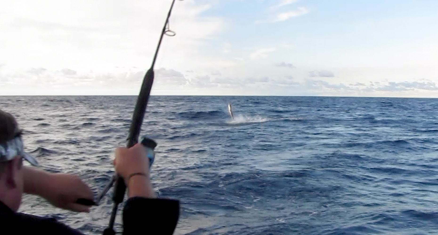 White Marlin Jumping