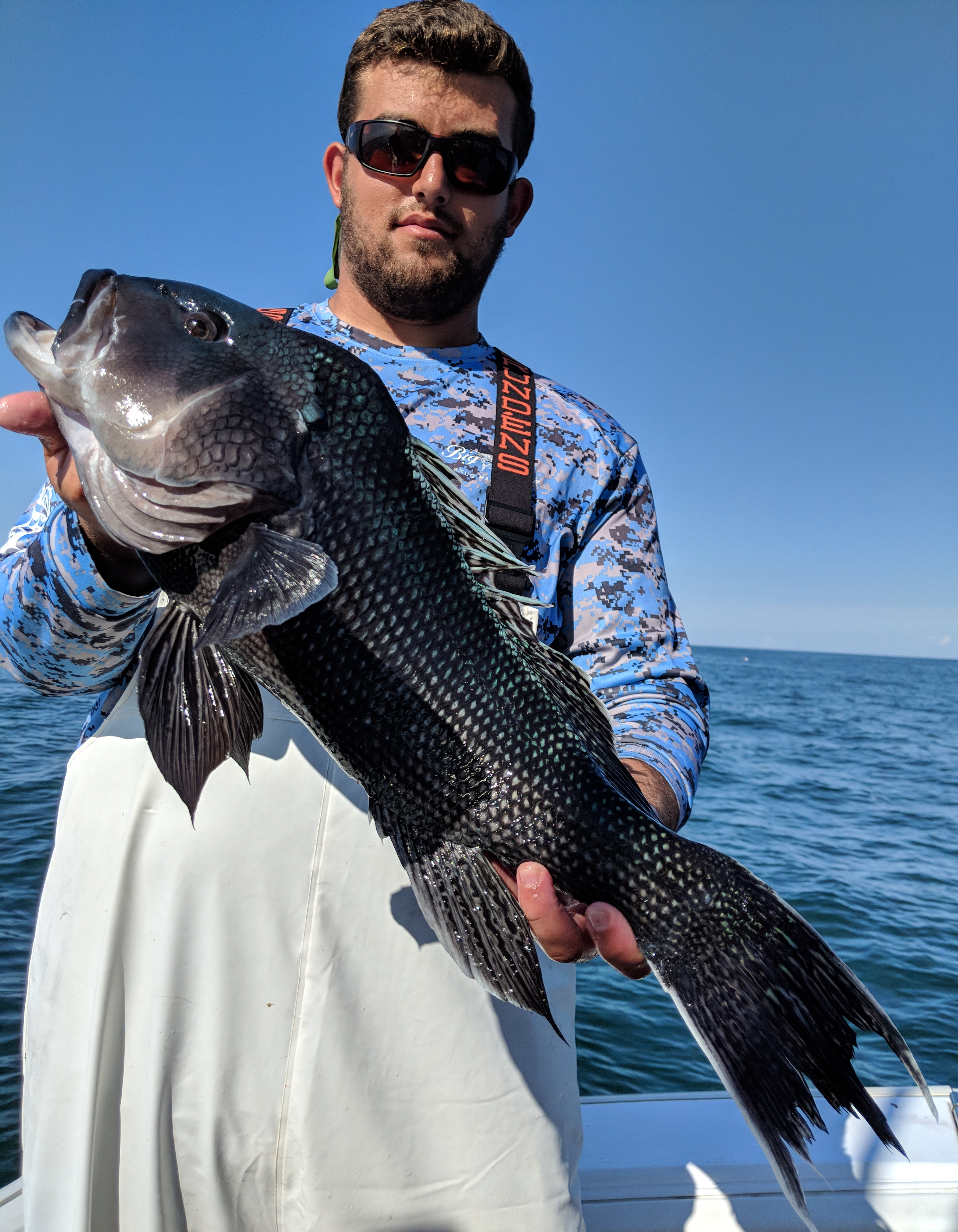 Black Sea Bass