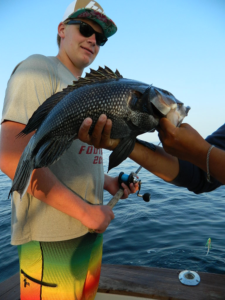 Black Sea Bass