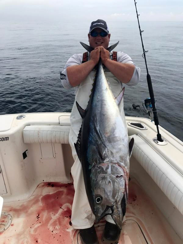 Giant Tuna