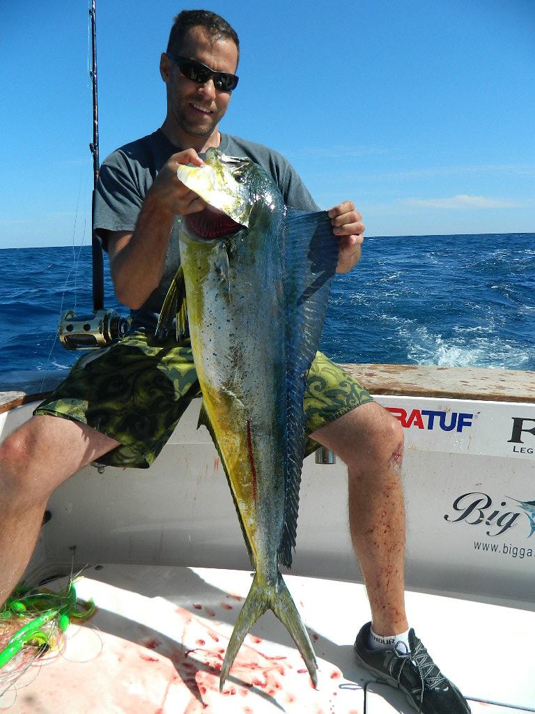 Mahi