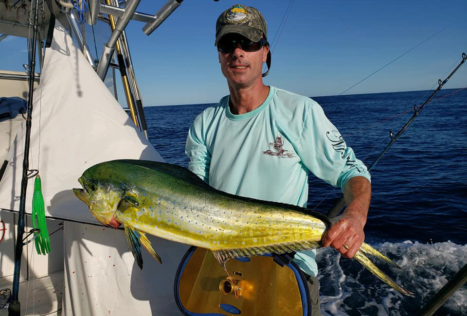 nice Mahi