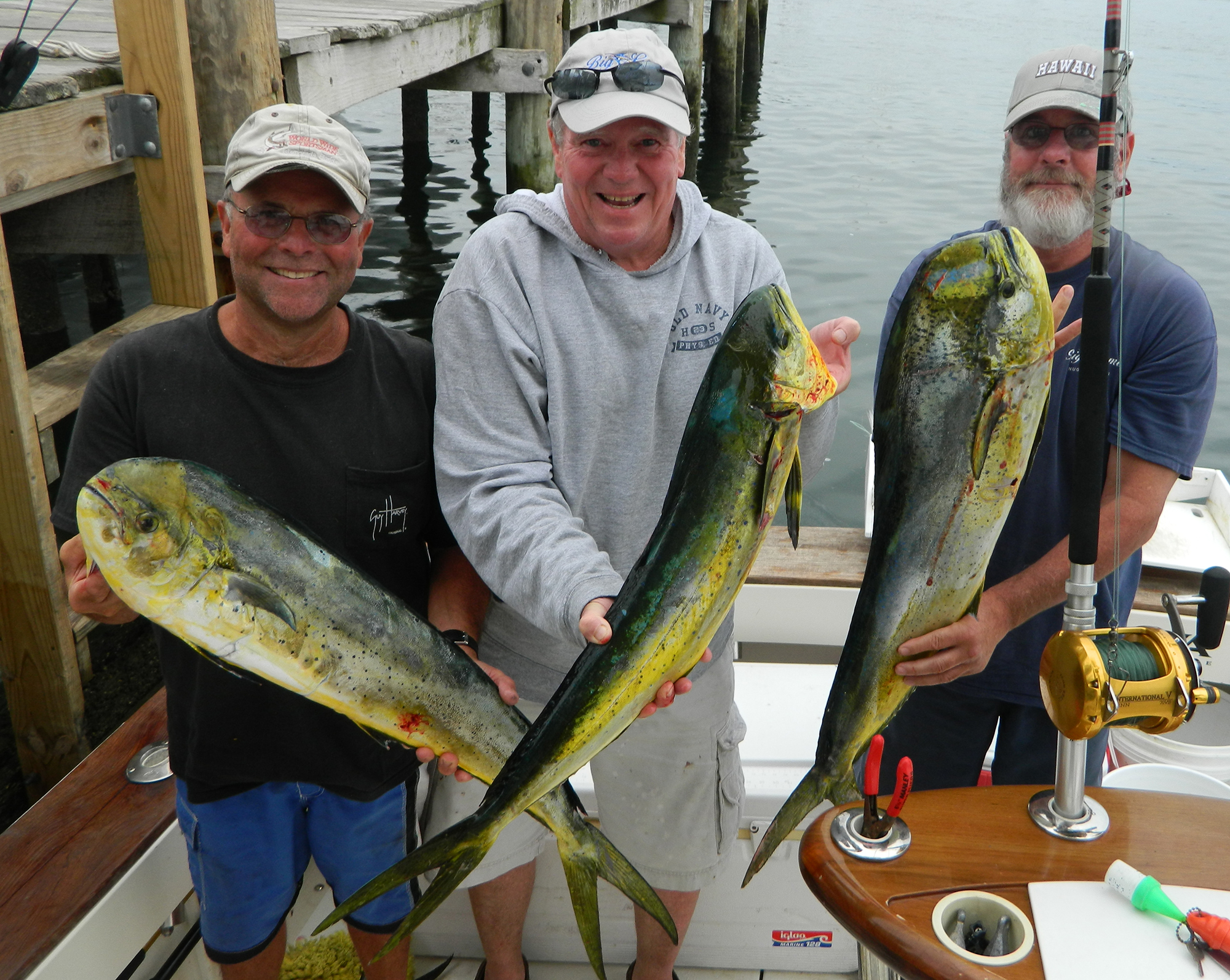 Mahi