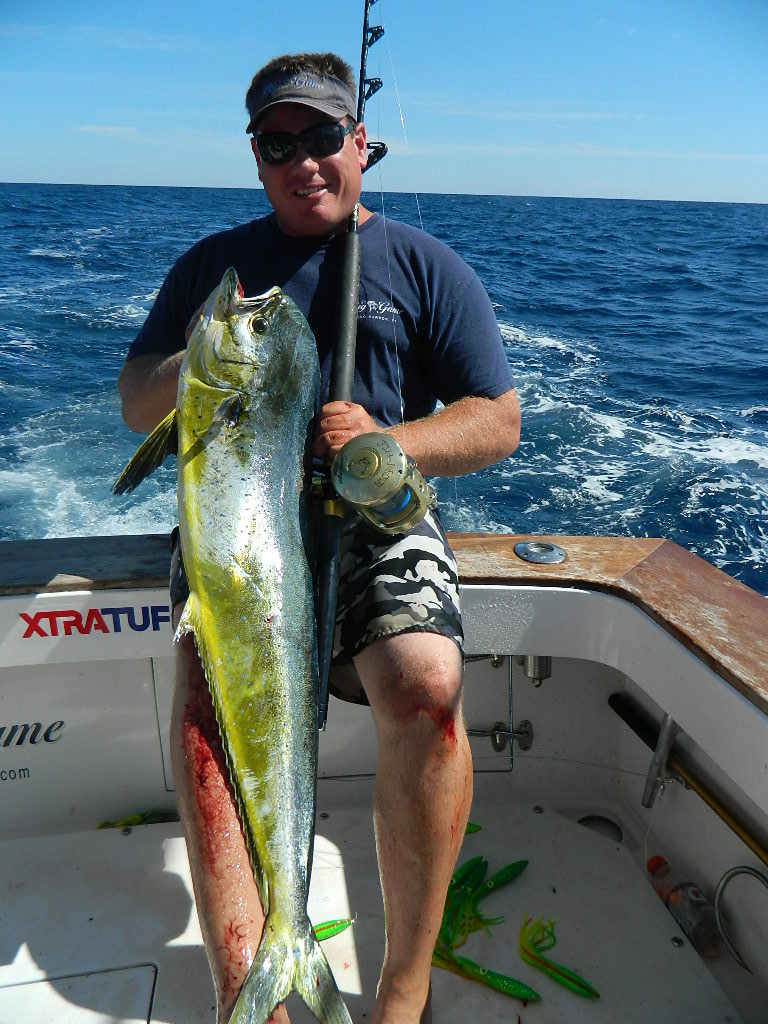 Mahi