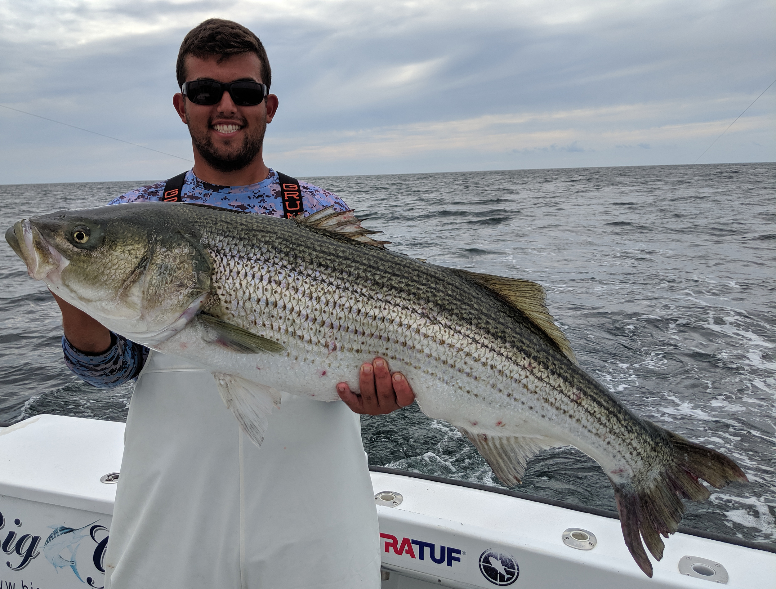 Striped Bass