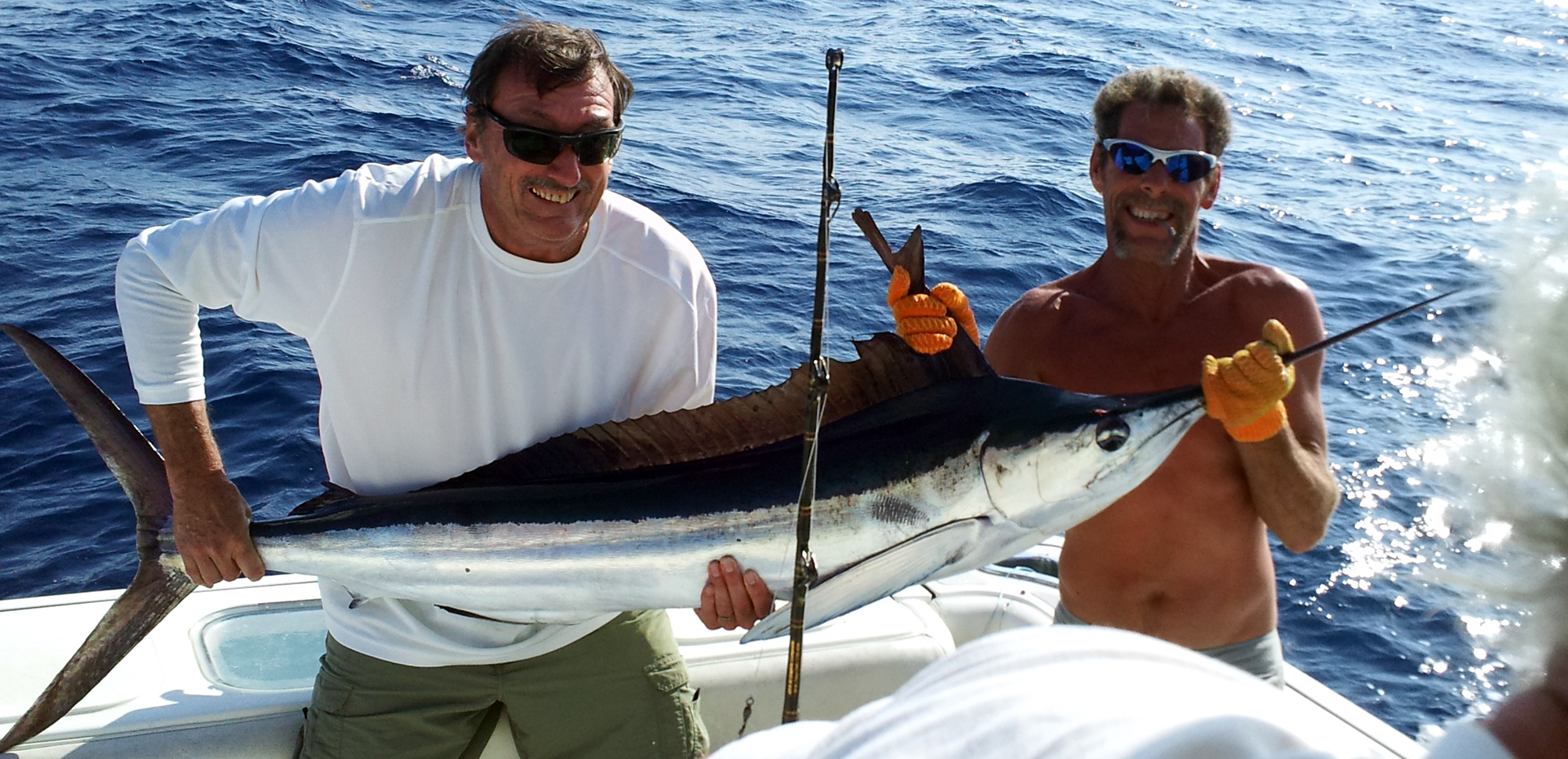 White Marlin