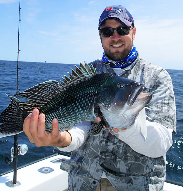 Black Sea Bass