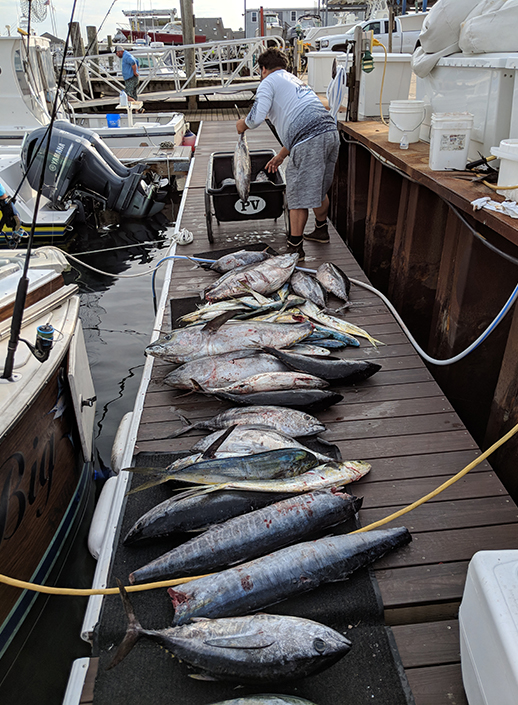 at the dock